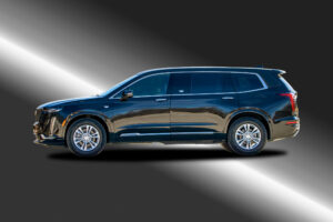 Executive11