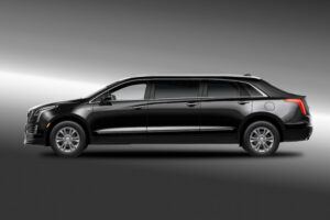 Platinum Limousine